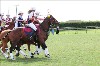 UKPA NC SAT_2461